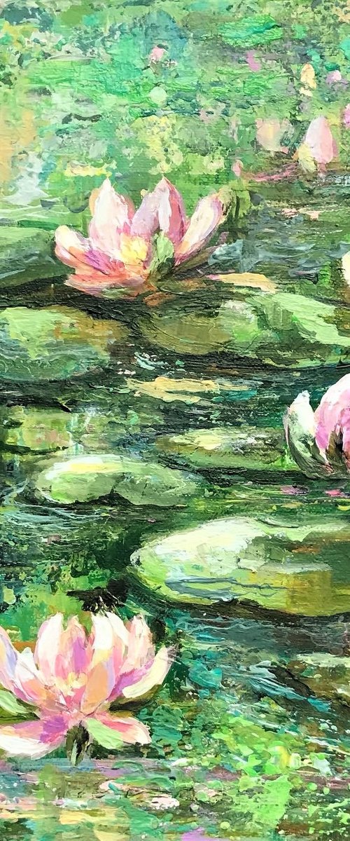 Pink Water Lilies by Colette Baumback