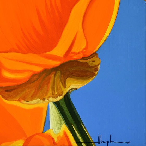 Californian Poppy and Wind #4