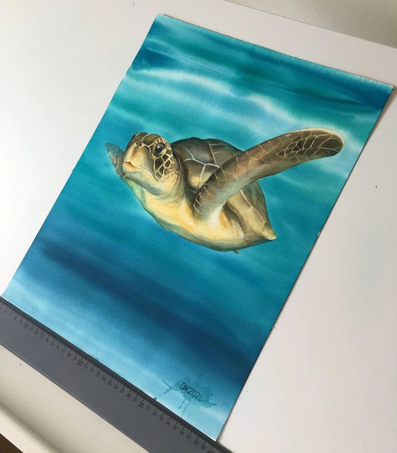 "Sea Turtle"