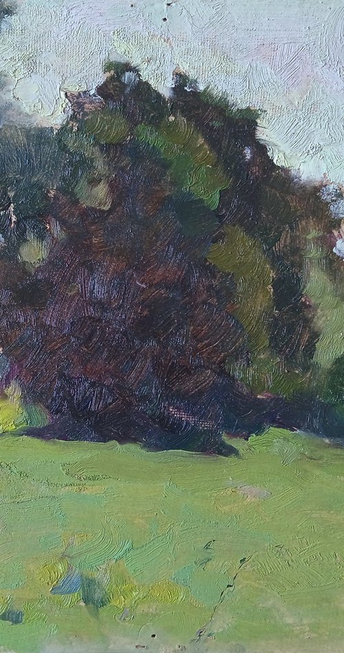 Summer Meadow by Vasyl Koval