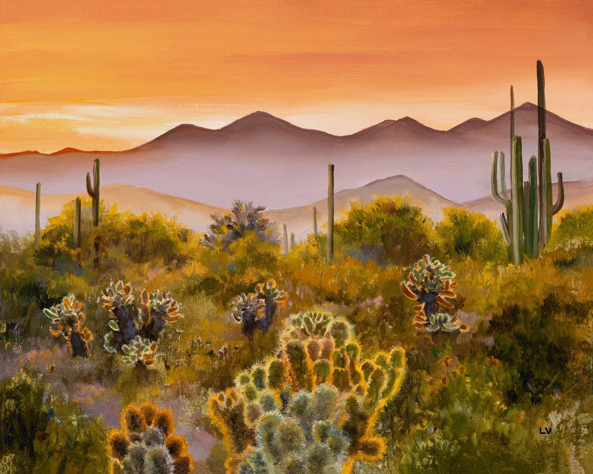 Sunset in saguaro cactus desert by Lucia Verdejo