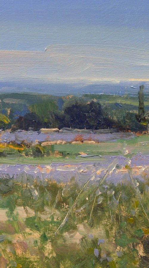 Field with Lavender near Grignan by Pascal Giroud