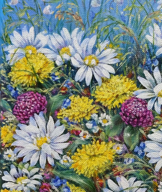 Daisies and Wildflowers.