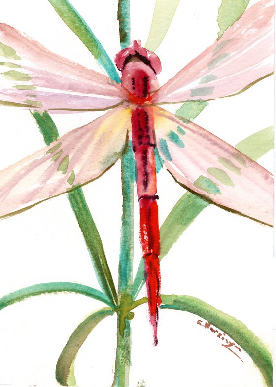 Dragonfly