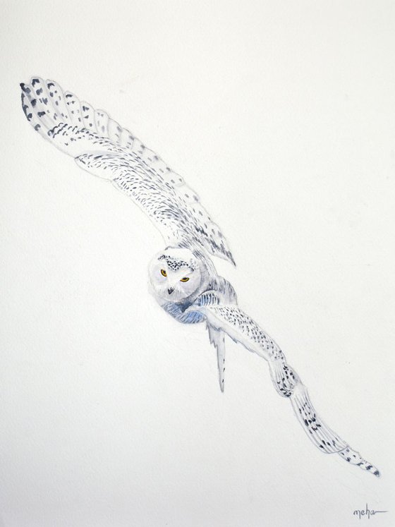 Snowy owl (set of three)