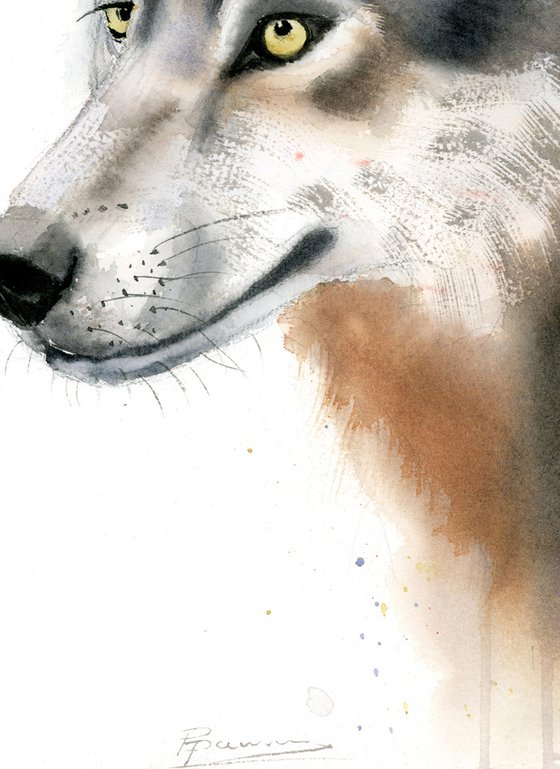 Watercolor Wolf portrait