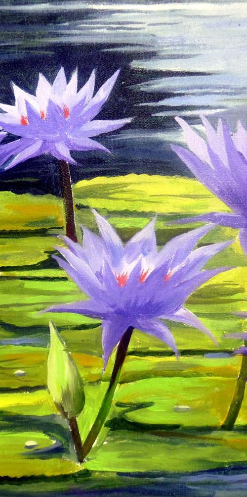 Beauty of Waterlilies by Samiran Sarkar