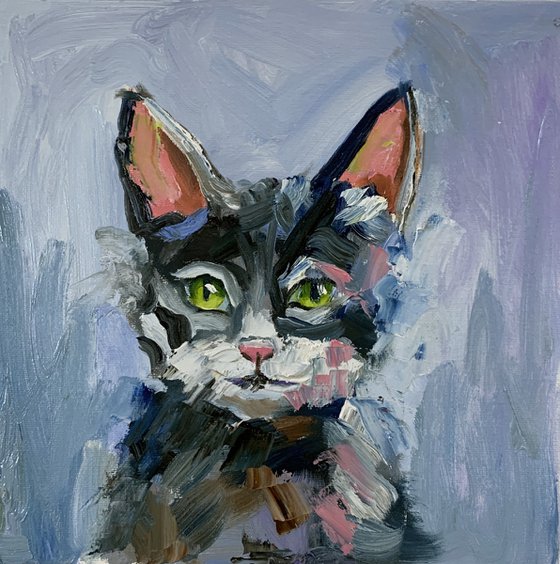 Blue black Cat portrait.