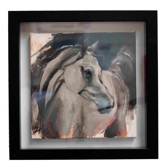 Equine Head Arab White (study 1)