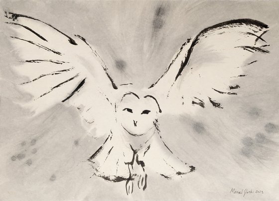 The white owl