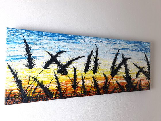 Sunrise In The Grass.