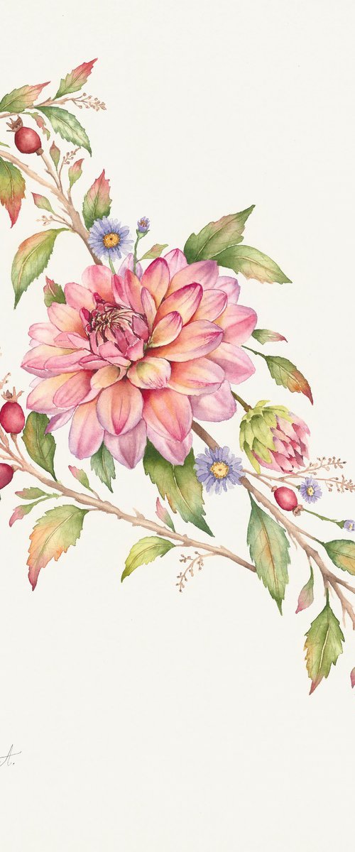 Dahlia Plumage by Oksana Abdukadyrova
