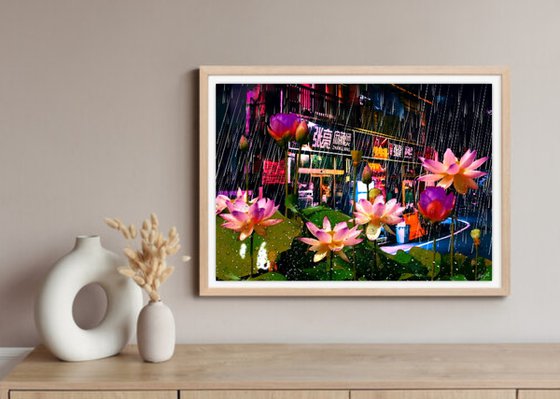 Lotuses in the Rain