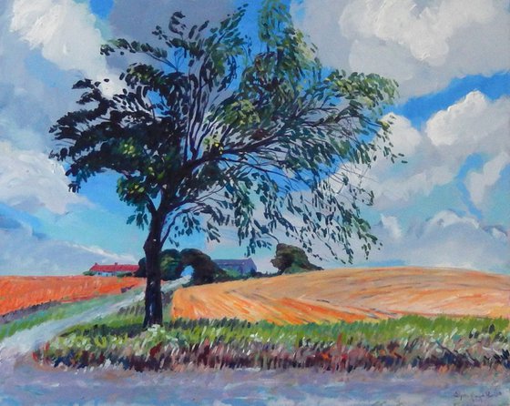 Farm, Tree and Sky, Fife, Scotland.