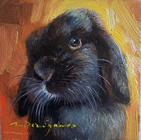 Custom rabbit portrait