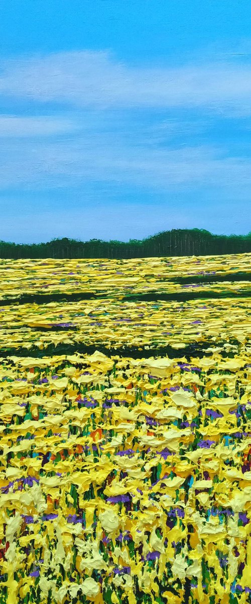 Summer Golden Field by Amanda Horvath