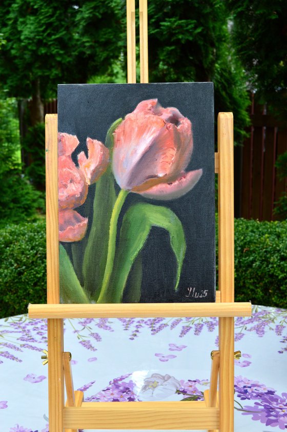 Coral Tulips Triptych