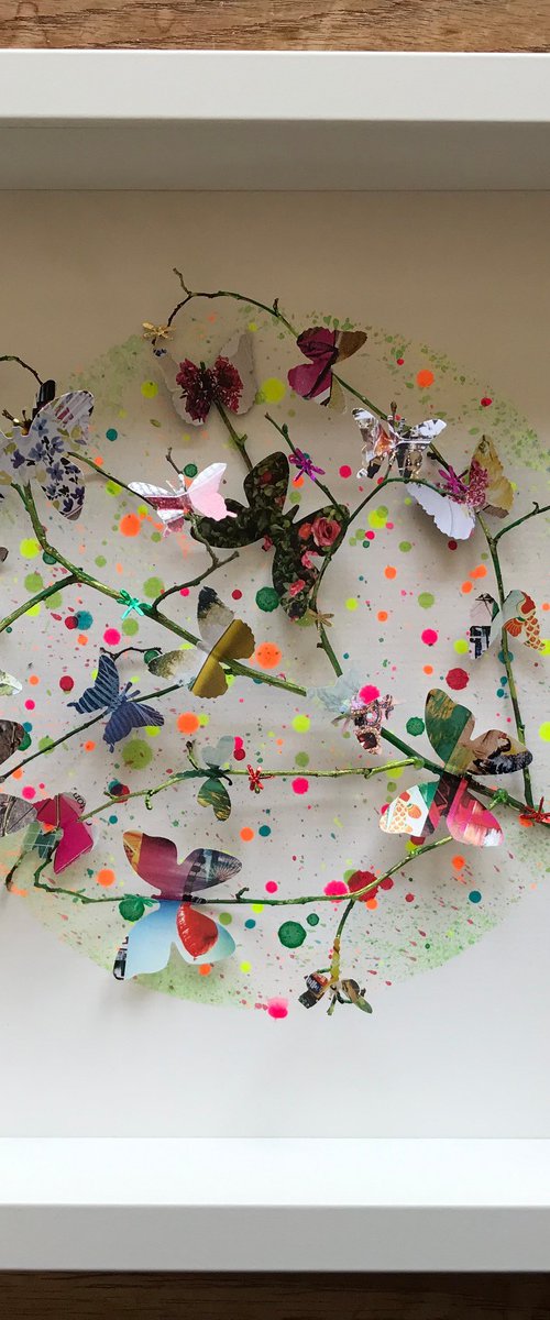 Spring by Hernan Reinoso