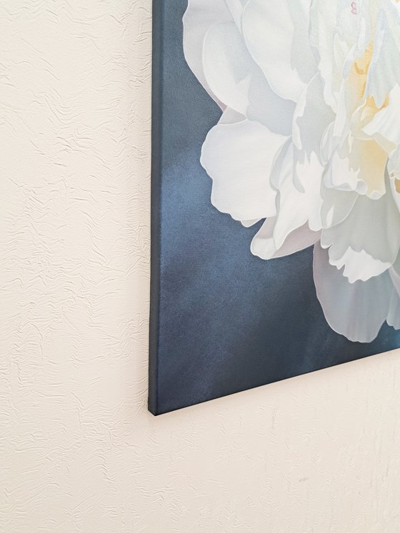 Snow-white peony