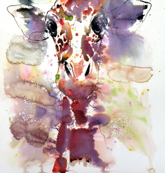 Cute giraffe