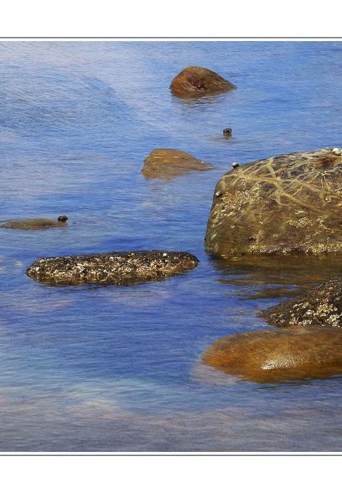 Rocks at Low Tide by Martin  Fry
