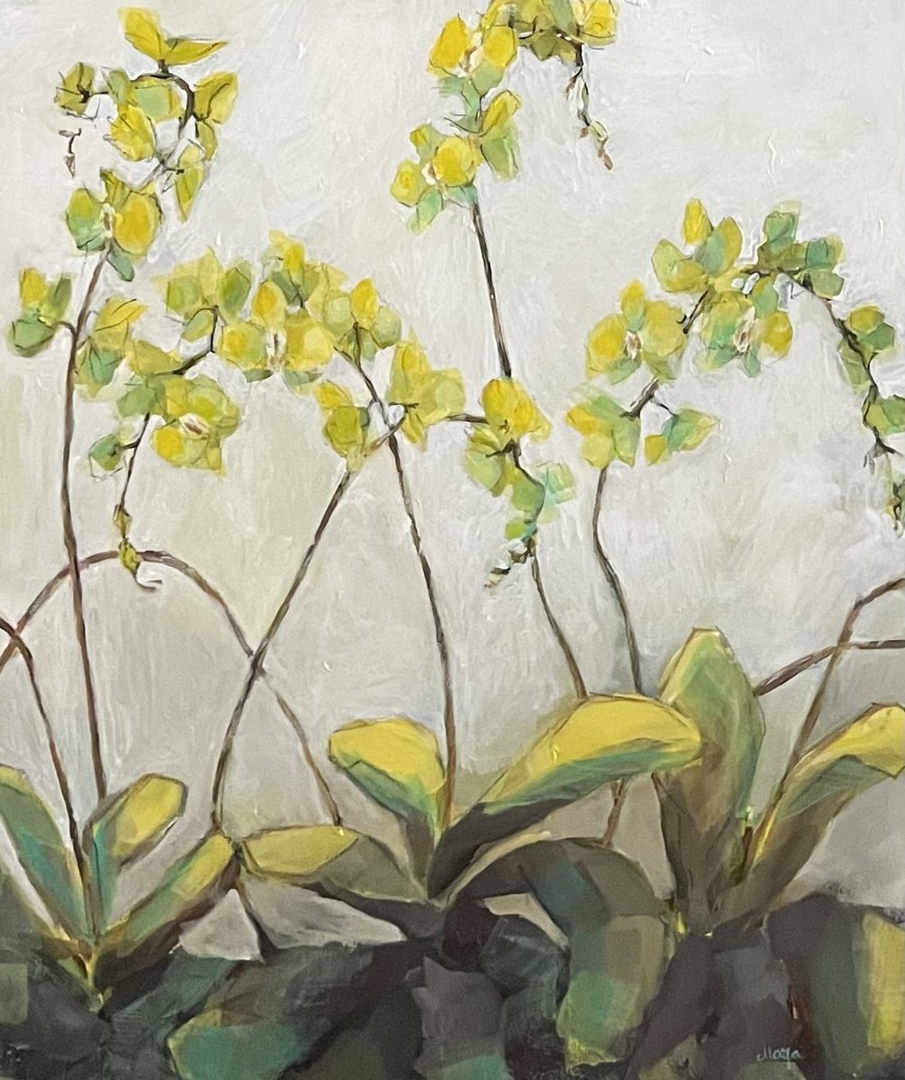 Impressionistic Botanical Acrylic Painting By Maija Nochevnaya, 24 X 29", Lemon Orchid, Original Artwork