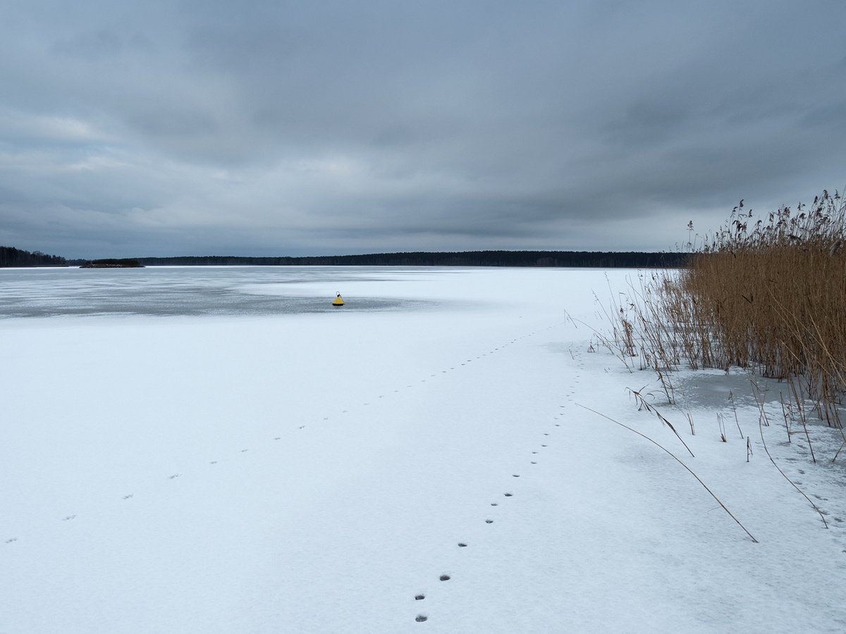 Winter Lake** by Jacek Falmur