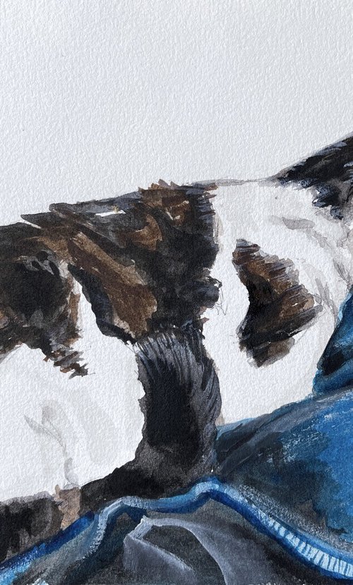 Longing for you - Cadbury the cat series By HSIN LIN by HSIN LIN