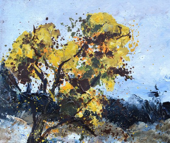 Dry summer in Provence 5423