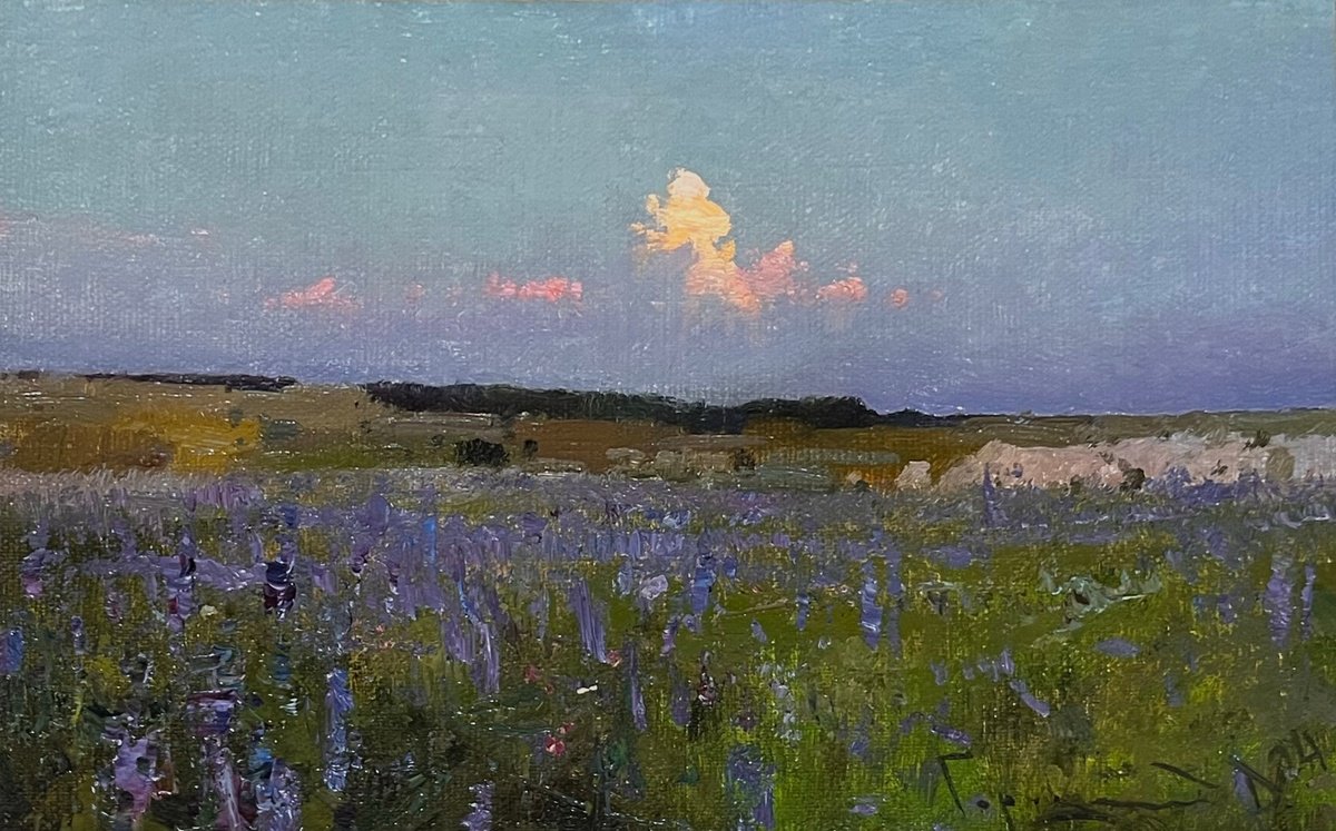 June field by Denys Gorodnychyi