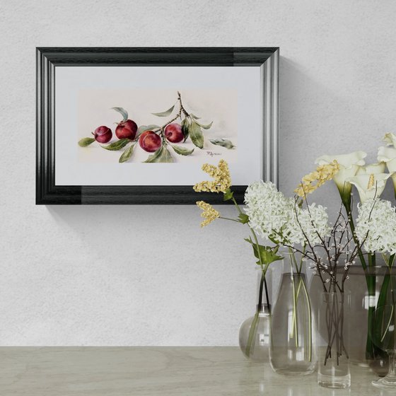 Branch of Red Plums