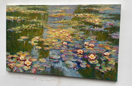 Water lilies in the pond