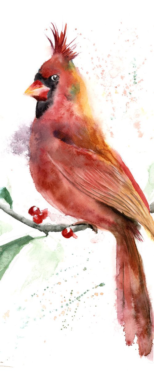 Cardinal on a branch by Olga Tchefranov (Shefranov)