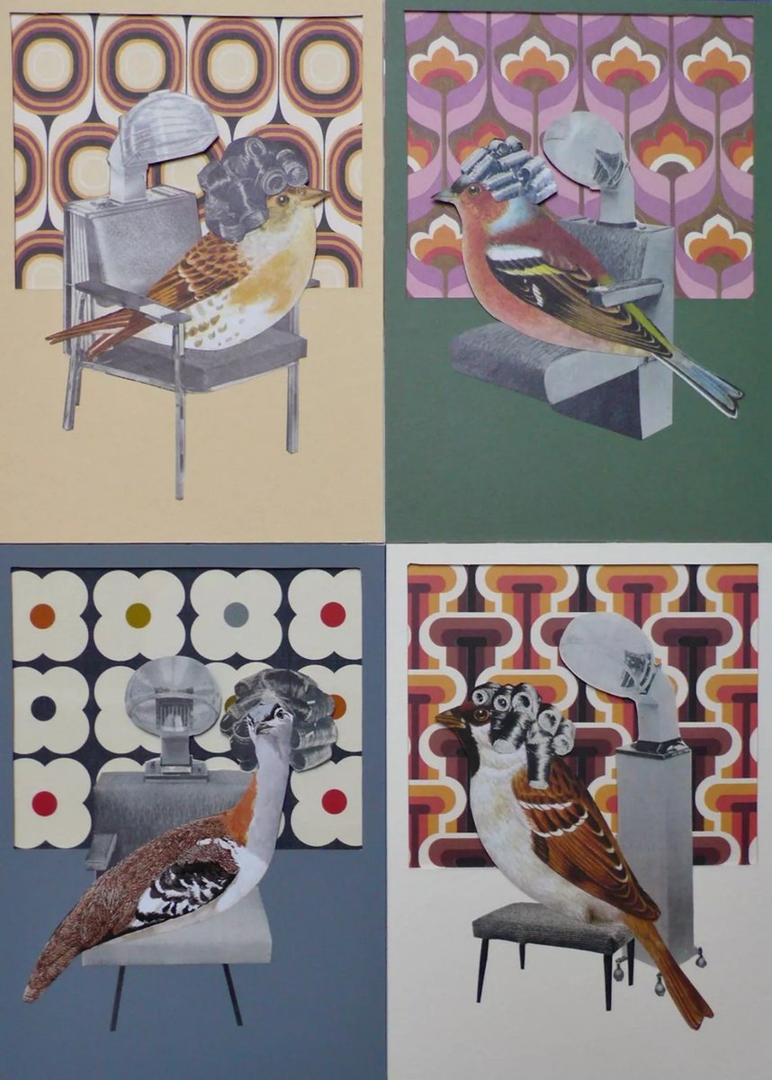 Salon Birds Collection by Paper Draper