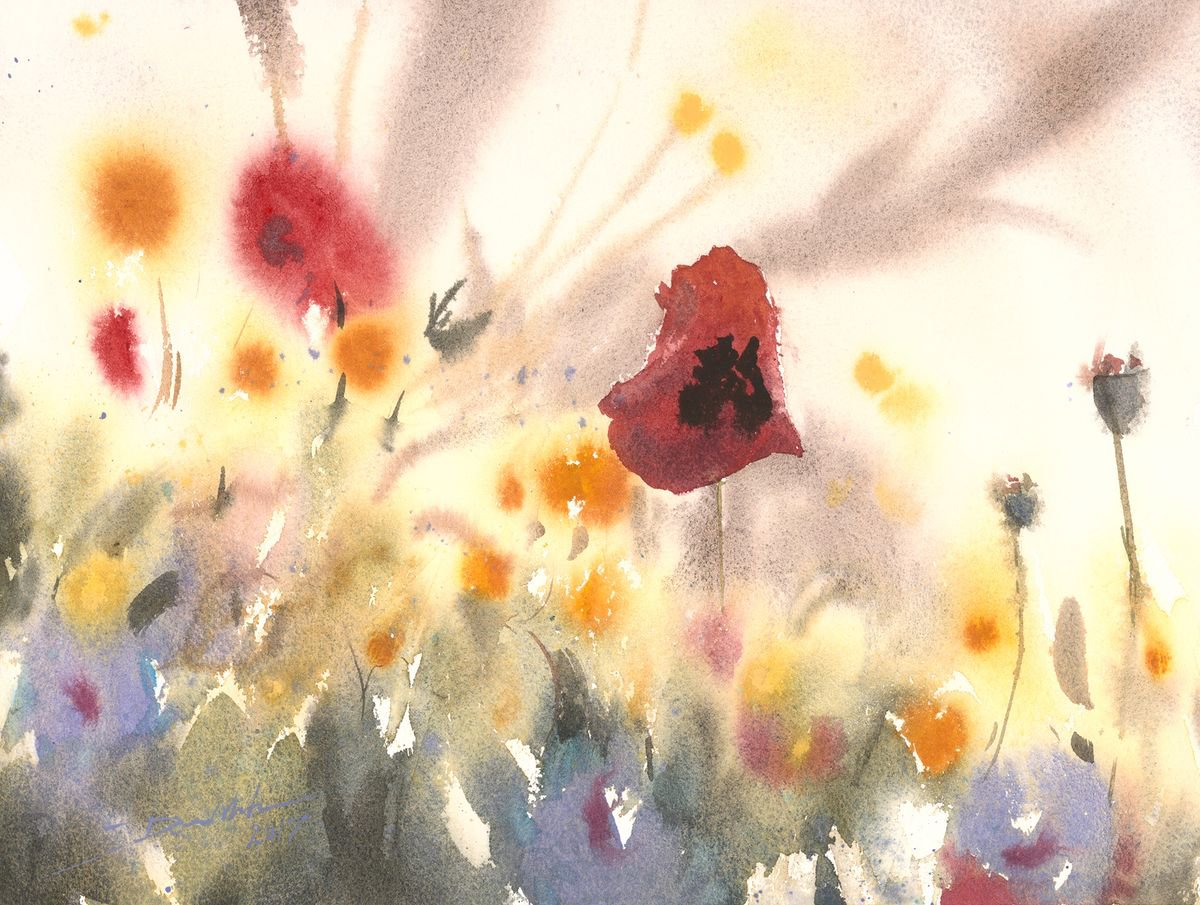 Poppies by Minh Dam