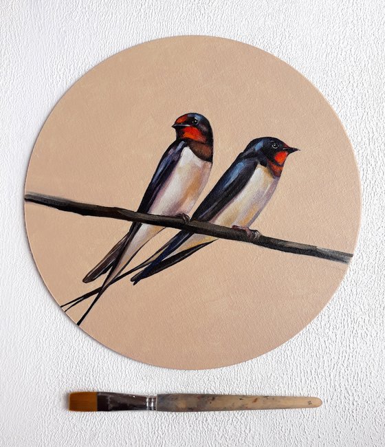 Swallow birds