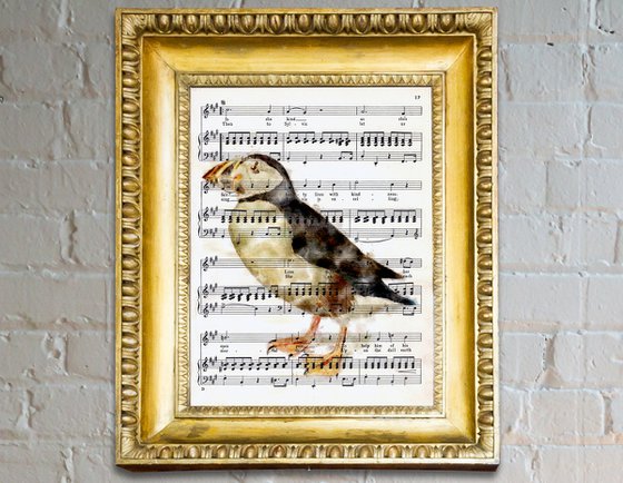 The Puffin - Digital Art on the Original Vintage Music Sheet Page