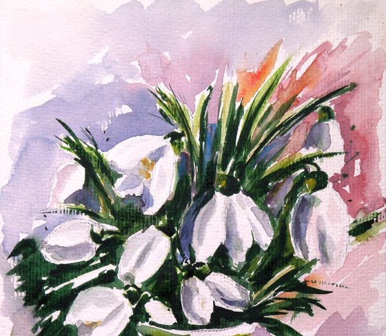 Snowdrop II