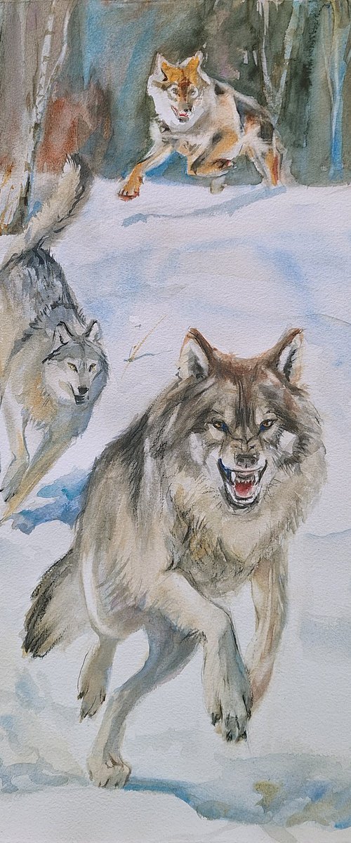 Wolf Run by Irina Bibik-Chkolian