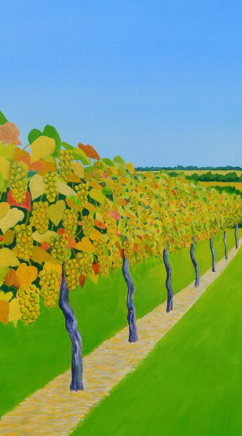Flying Over a Sussex Vineyard by Ruth Cowell