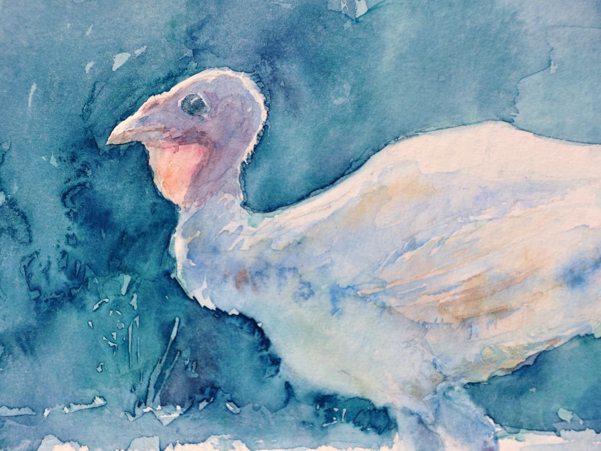 WALKING TURKEY original watercolour by Beata van Wijngaarden