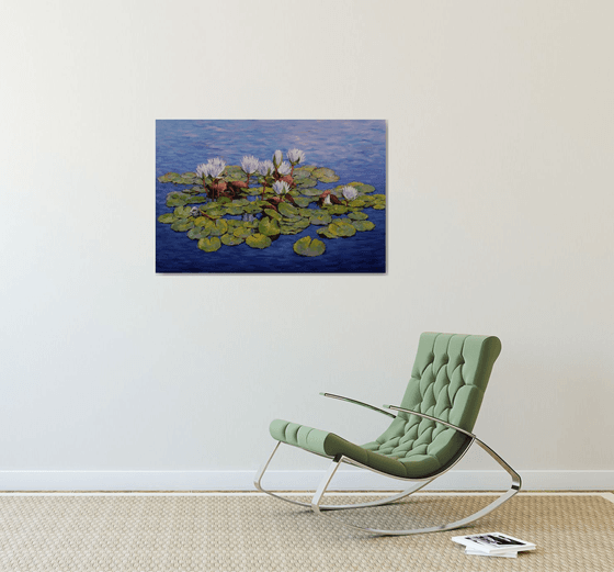 "Water lilies"