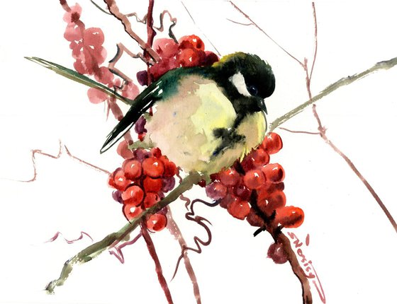 Great Tit and Wild Berries