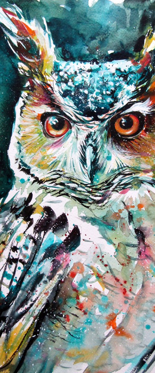 Owl portrait by Kovács Anna Brigitta