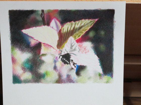 Leaves barely hatched #2 Realistic fine art Still life drawing Ideal gift deco design Christmas