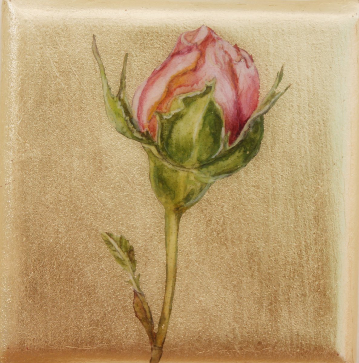 The Rose by Aurora Kanti