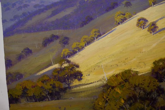 Sunlit Hill Kanimbla valley