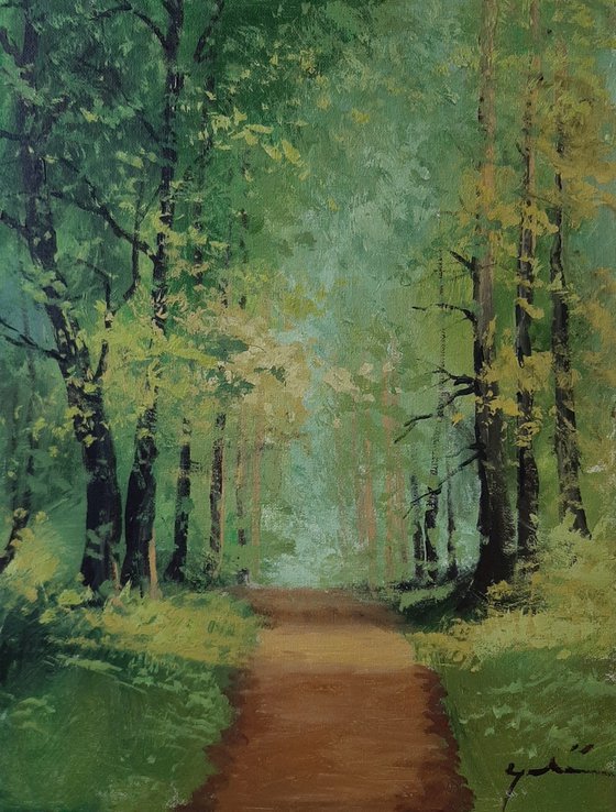 Forest road