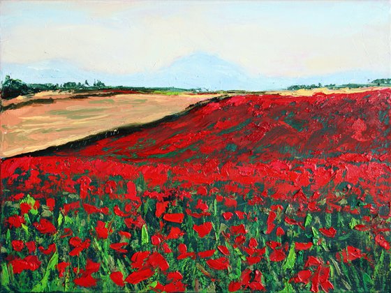 Poppy fields... /  ORIGINAL OIL PAINTING