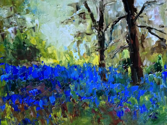 Spring bluebells